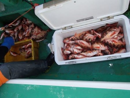 第二むつ漁丸 釣果