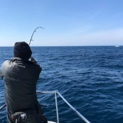 へいみつ丸 釣果