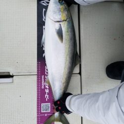 遊漁船 ニライカナイ 釣果