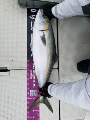 遊漁船 ニライカナイ 釣果