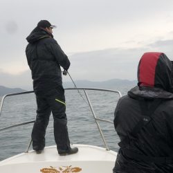 Magic(マジック) 釣果