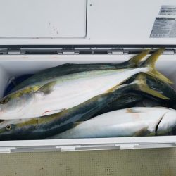 遊漁船　ニライカナイ 釣果