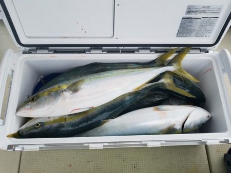 遊漁船　ニライカナイ 釣果