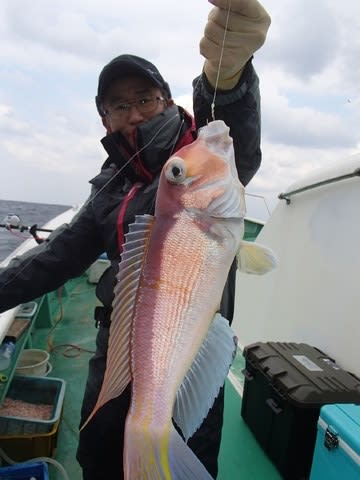 第二むつ漁丸 釣果