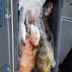 第二大福丸 釣果