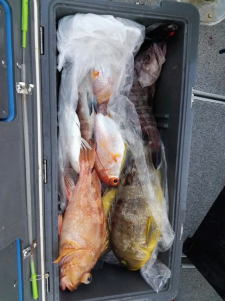 第二大福丸 釣果