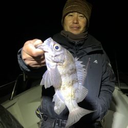 Magic(マジック) 釣果