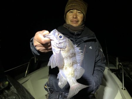 Magic（マジック） 釣果