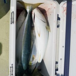 遊漁船 ニライカナイ 釣果