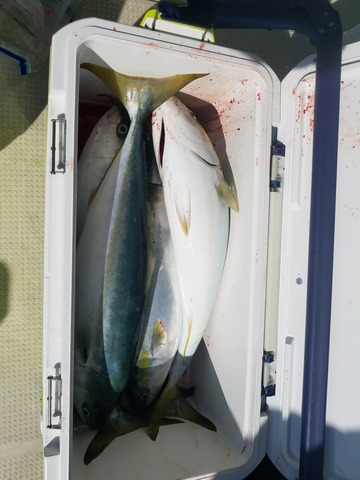 遊漁船 ニライカナイ 釣果