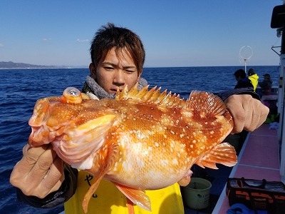 しまや丸 釣果