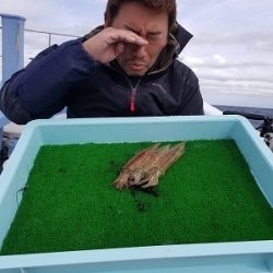 しまや丸 釣果