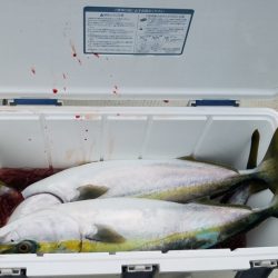 遊漁船　ニライカナイ 釣果