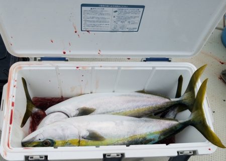 遊漁船　ニライカナイ 釣果