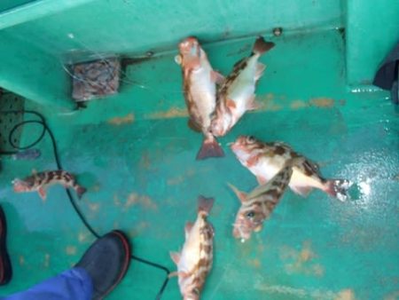 第二むつ漁丸 釣果