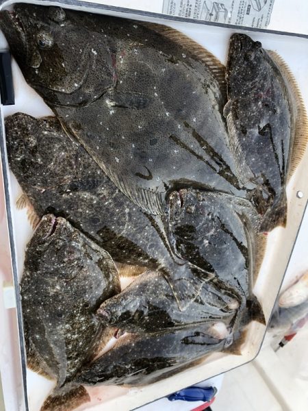 Magic(マジック) 釣果