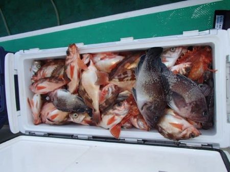 第二むつ漁丸 釣果