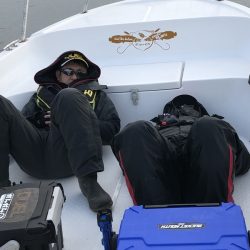 Magic(マジック) 釣果