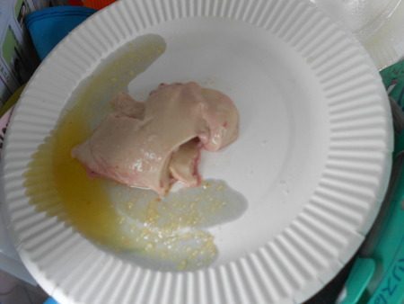 こうゆう丸 釣果