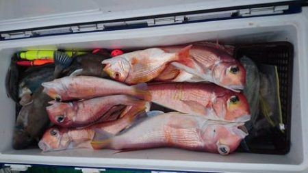 第二むつ漁丸 釣果