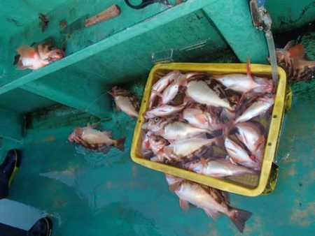 第二むつ漁丸 釣果