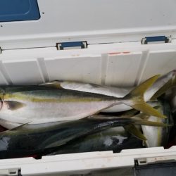 遊漁船　ニライカナイ 釣果