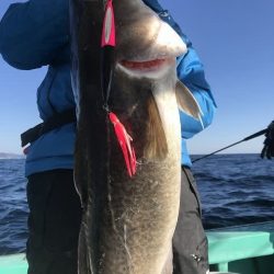広進丸 釣果