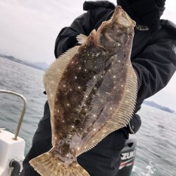 Magic（マジック） 釣果