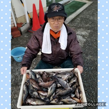 桑田観光 釣果