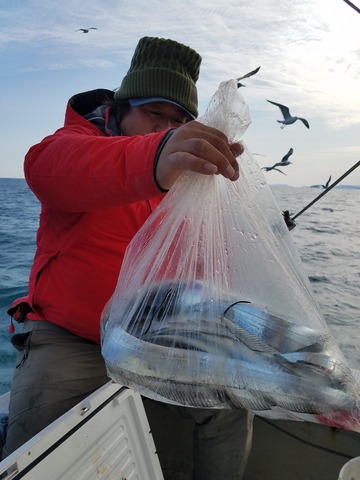 遊漁船　ニライカナイ 釣果
