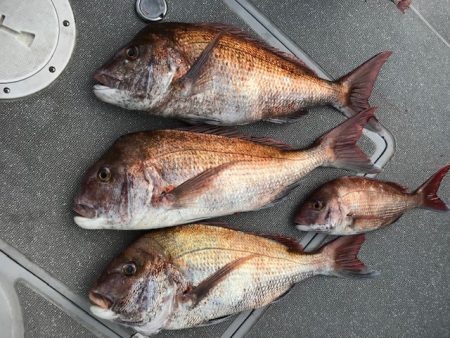 へいみつ丸 釣果