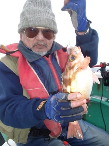 第二むつ漁丸 釣果