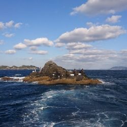 しば渡船 釣果