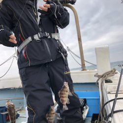 リトルワン 釣果