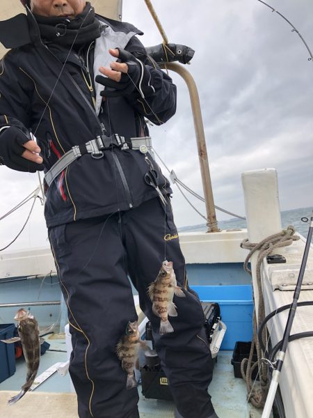 リトルワン 釣果