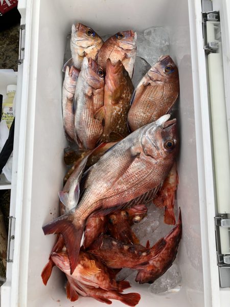 リトルワン 釣果