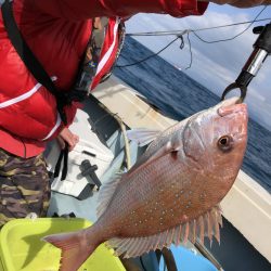 リトルワン 釣果