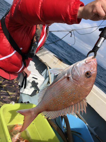 リトルワン 釣果