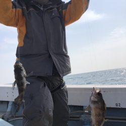 リトルワン 釣果