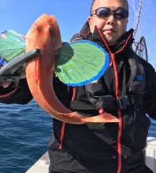 シーモンキー 釣果