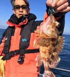 シーモンキー 釣果