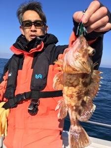 シーモンキー 釣果