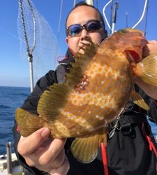 シーモンキー 釣果