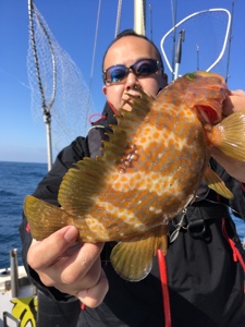 シーモンキー 釣果