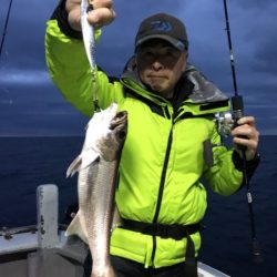 たいし丸 釣果