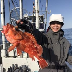 たいし丸 釣果