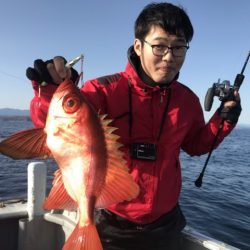 たいし丸 釣果