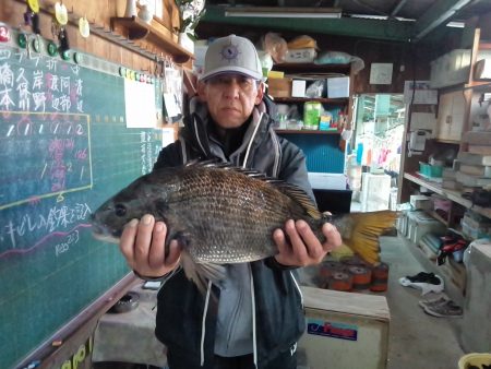 ふじや釣舟店 釣果