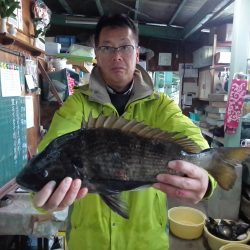 ふじや釣舟店 釣果