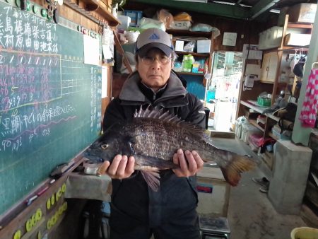 ふじや釣舟店 釣果